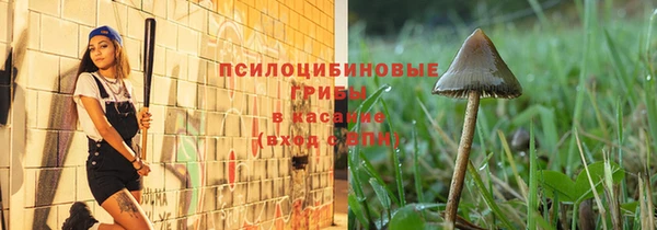 герыч Алексин