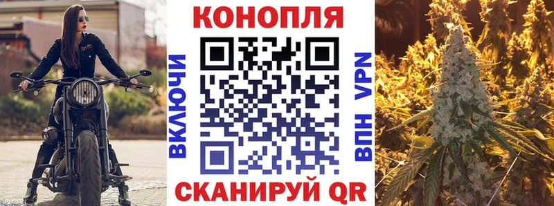 Бошки Шишки Amnesia МЕГА Лобня